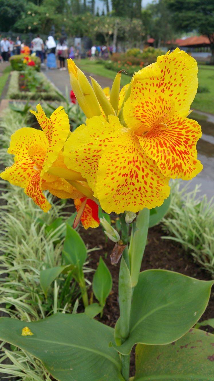 20160207 153413 (2016 10 02 16 07 39 UTC)